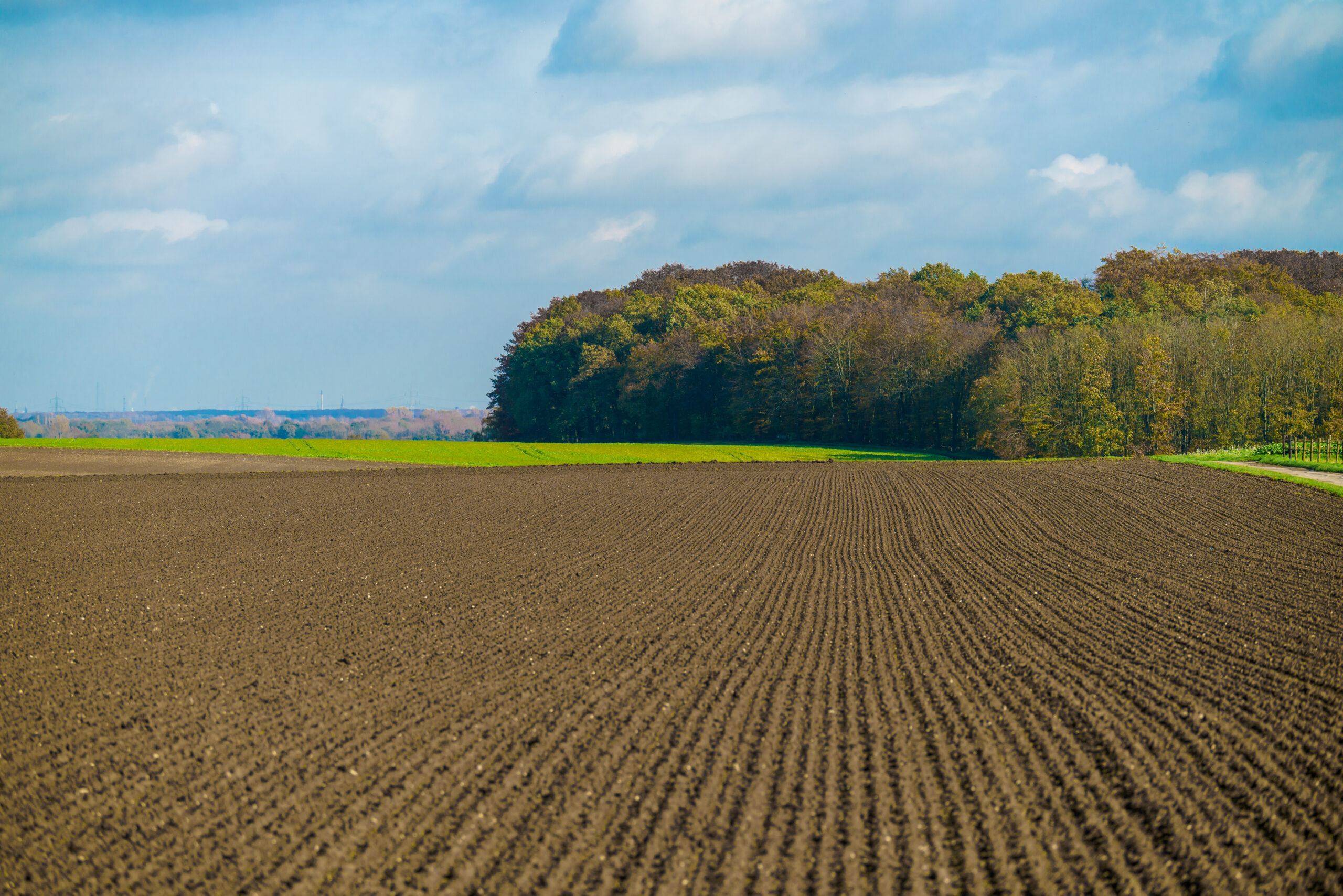 servicios agrícolas