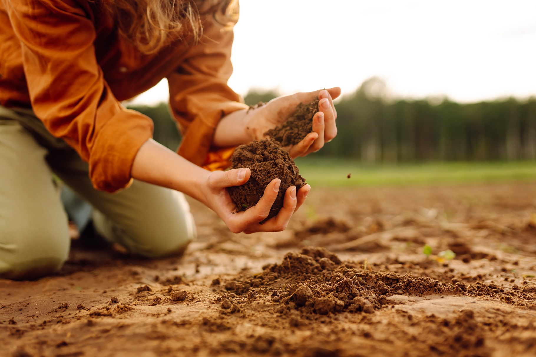 Trabajos agrícolas en campaña te enseñamos a eliminar tiempos muertos