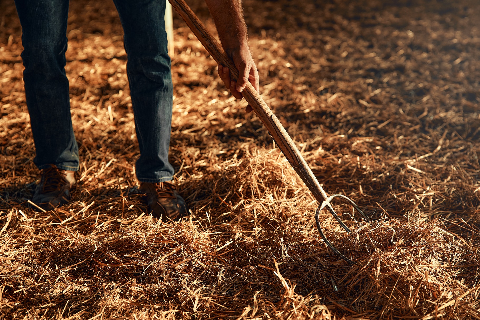 trabajos agrícolas postcosecha