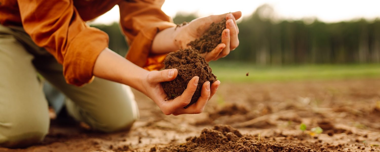 Trabajos agrícolas en campaña te enseñamos a eliminar tiempos muertos