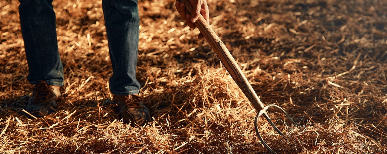 trabajos agrícolas postcosecha