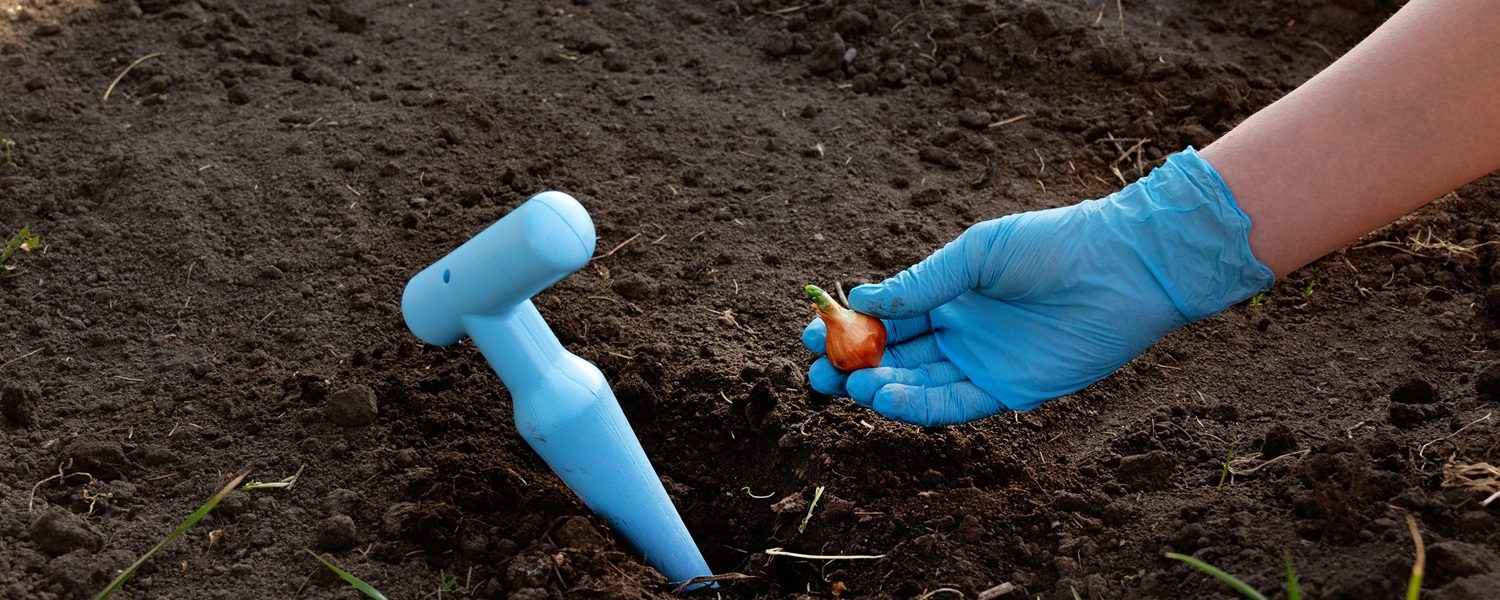 hand-of-woman-farmer-seeding-onions-in-organic-veg-2025-03-10-00-46-38-utc