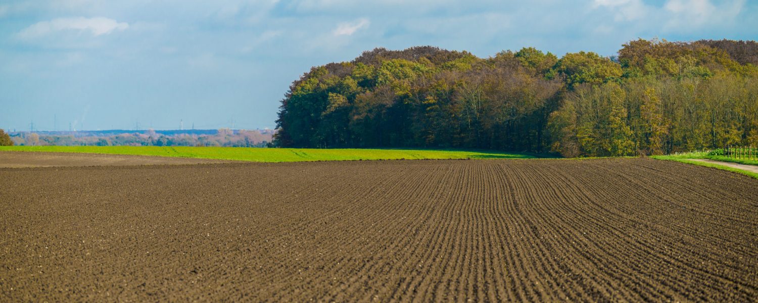 servicios agrícolas