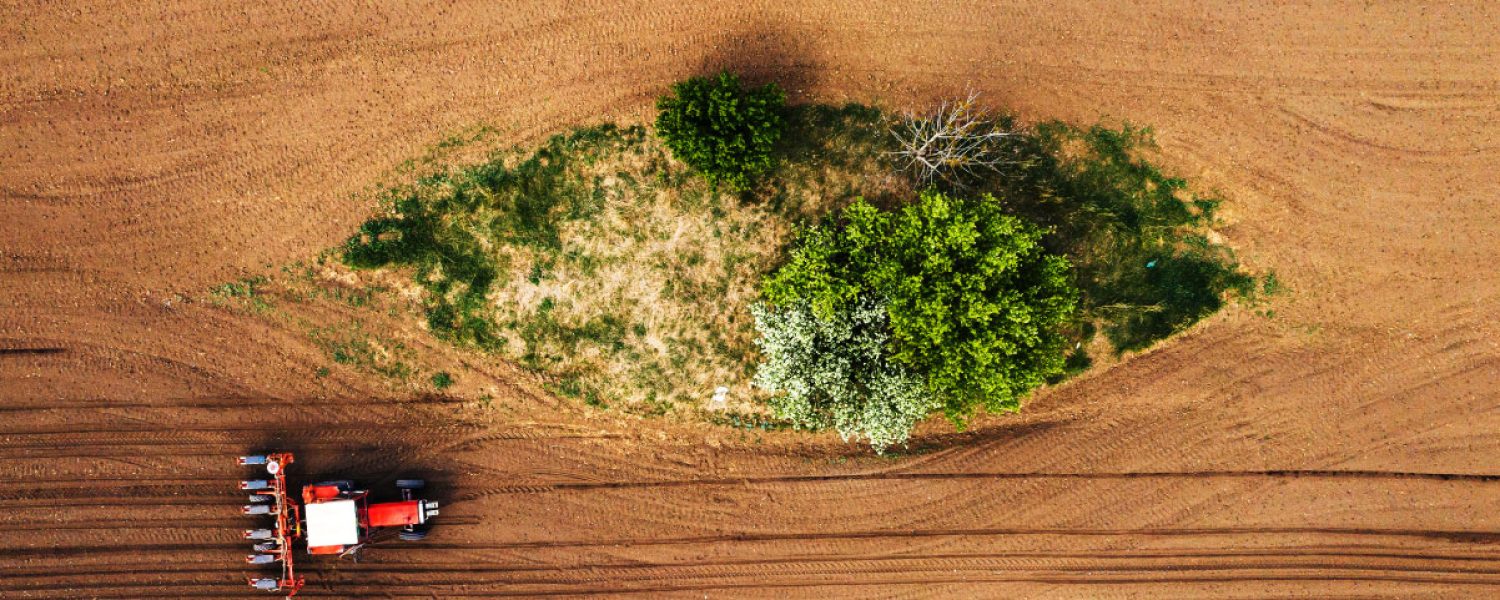 top-view-of-tractor-with-seeder-from-drone-pov-2023-11-27-04-49-54-utc