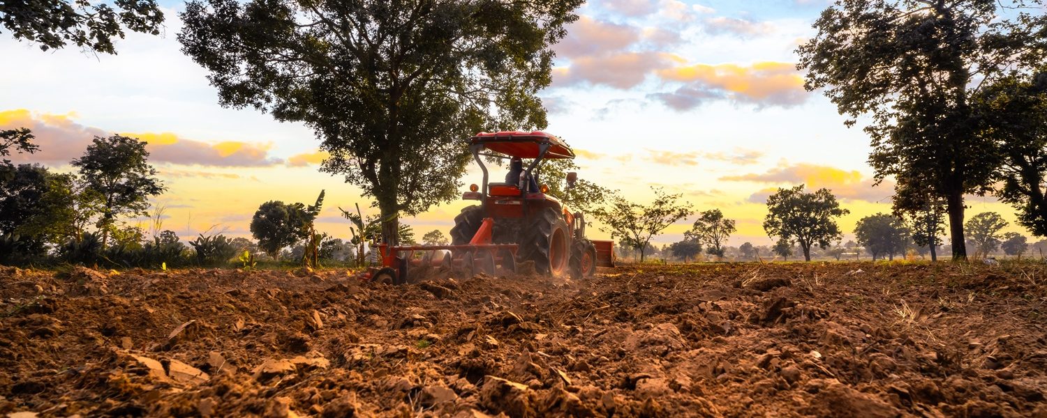 tractor-plows-the-land-and-prepares-to-plant-cassa-2025-04-27-01-48-12-utc