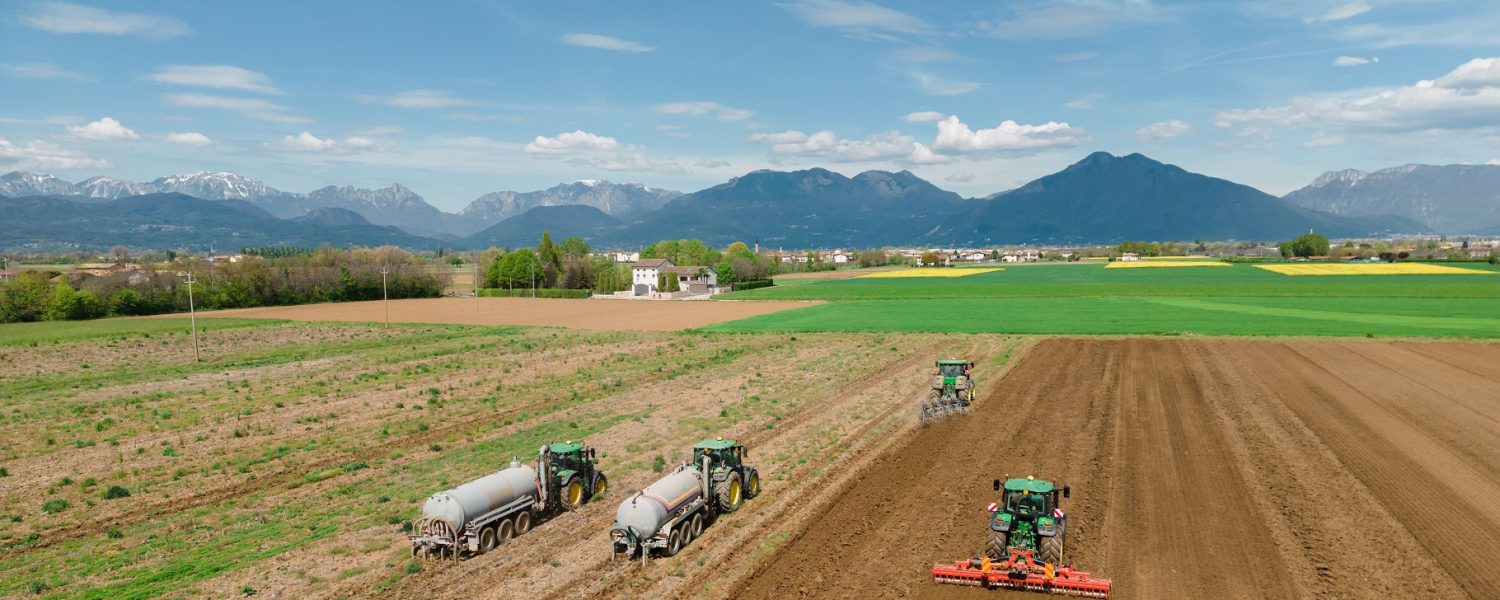 Cómo preparar el suelo para cultivo