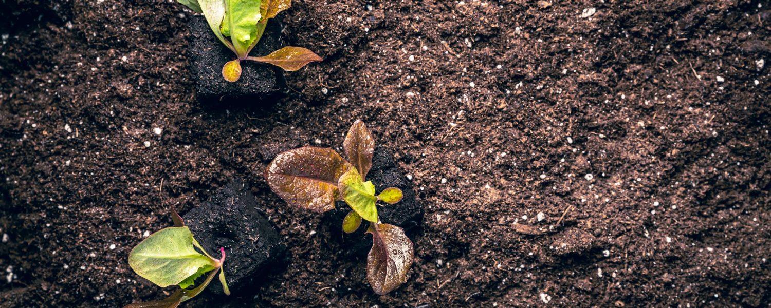 suelos para cultivar 